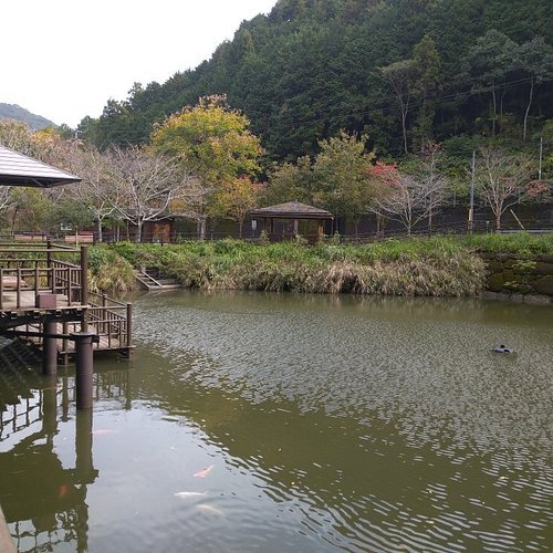 💧 칡덩굴 연못(쓰즈라부치) 이미지 10